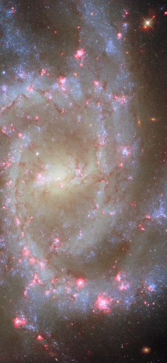 Noteworthy nearby spiral
