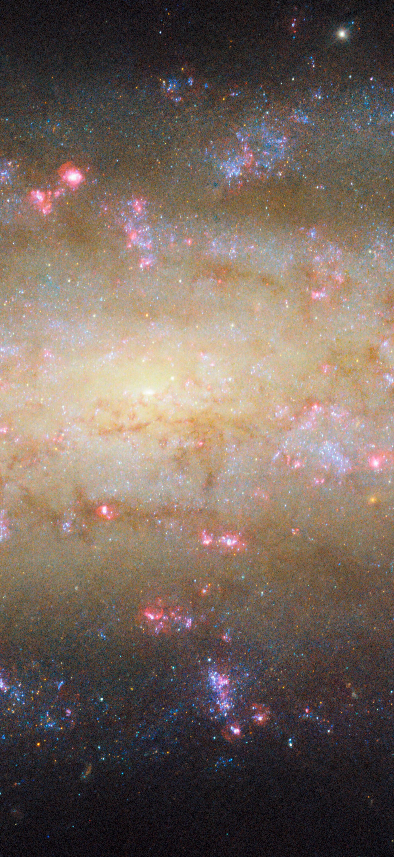 A galaxy with lots to see