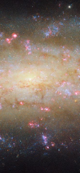A galaxy with lots to see