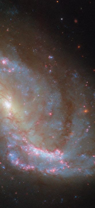 A well-studied spiral