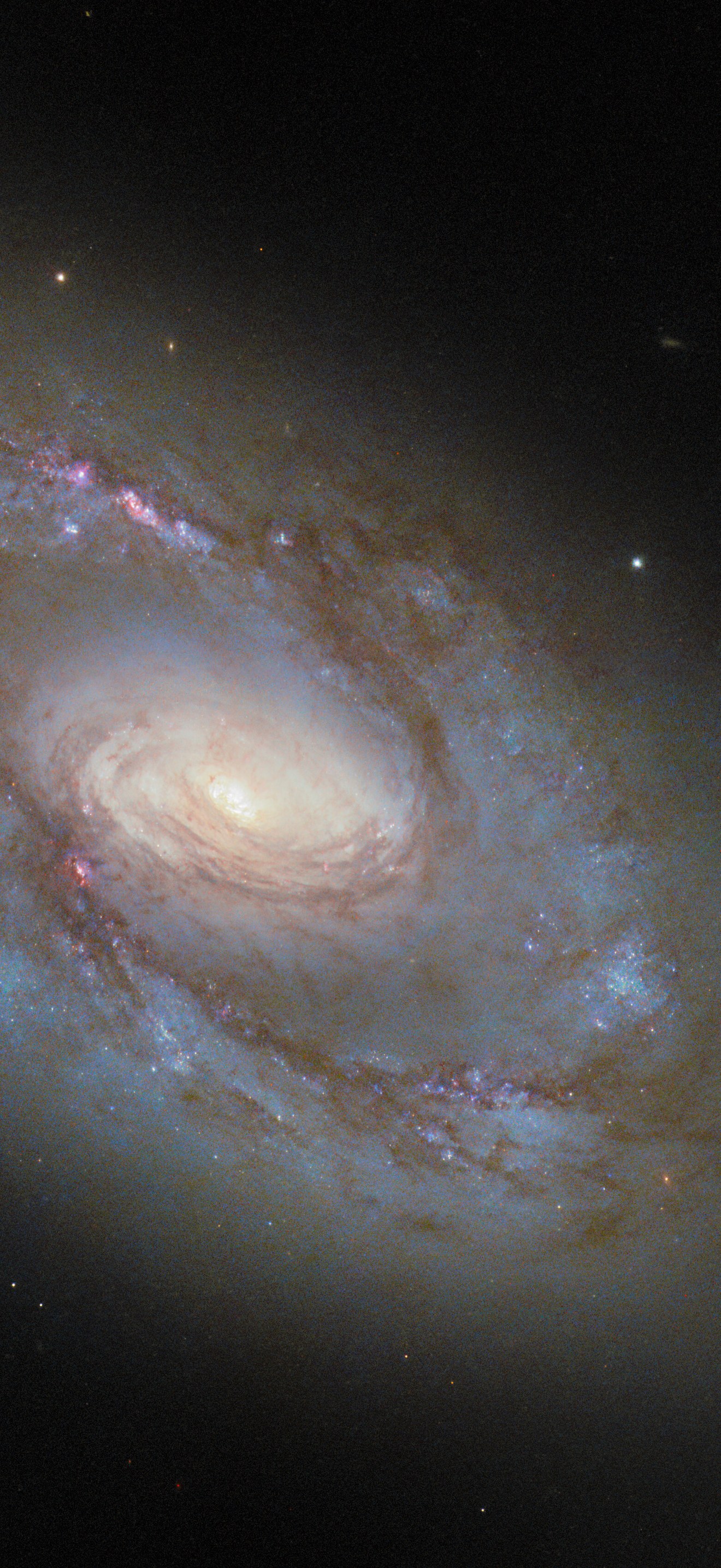 Revisiting an unusual spiral