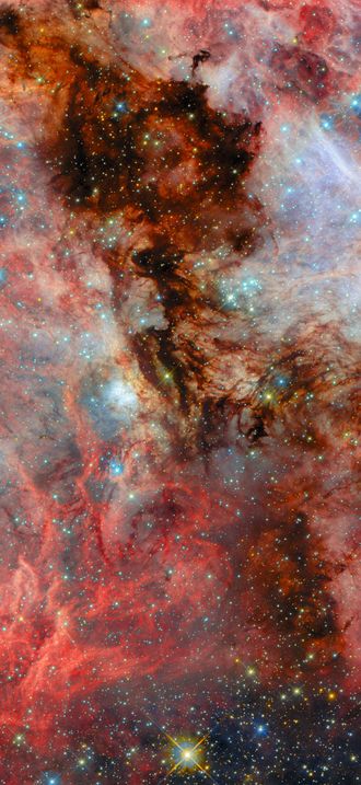 A neighbouring vista of stellar birth