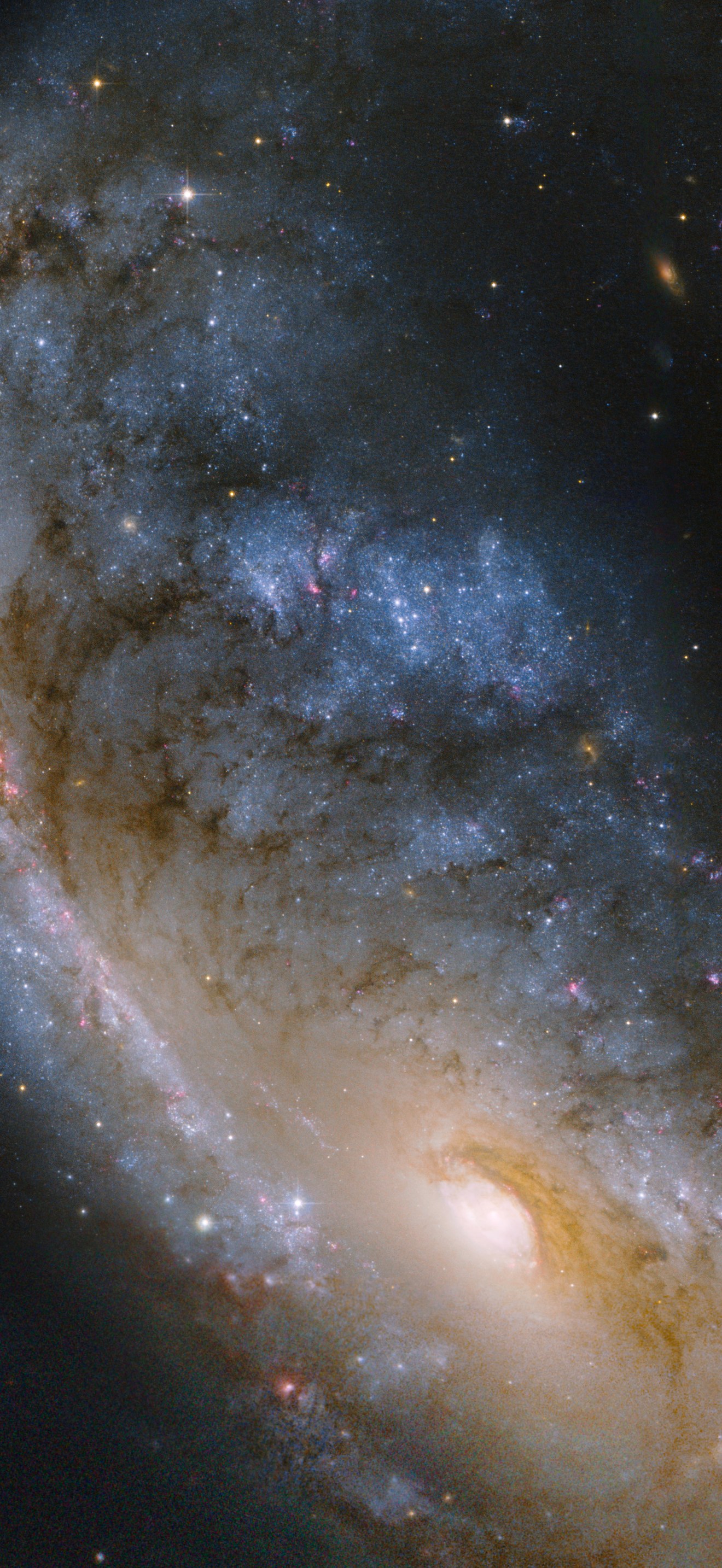 Hubble image of the Meathook Galaxy