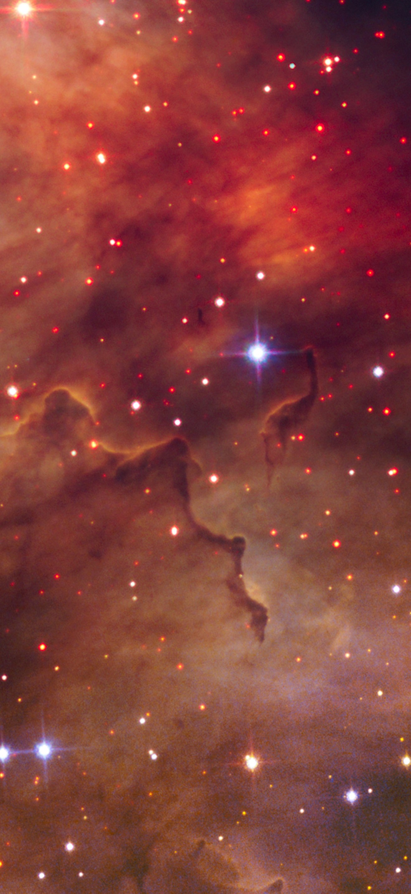 New stars around Westerlund 2