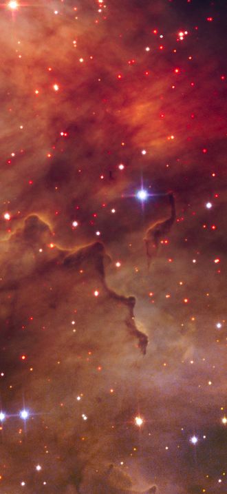 New stars around Westerlund 2