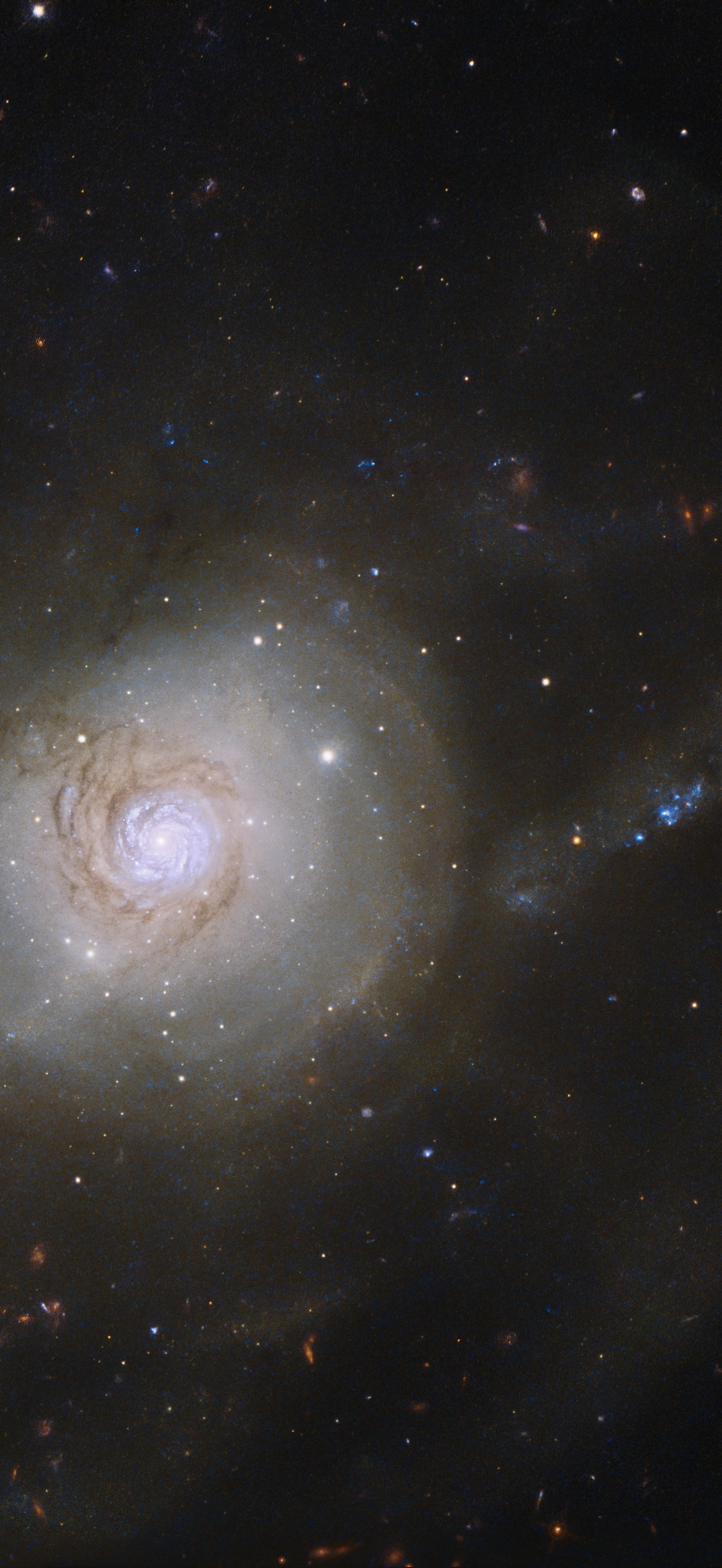 Galactic politics
