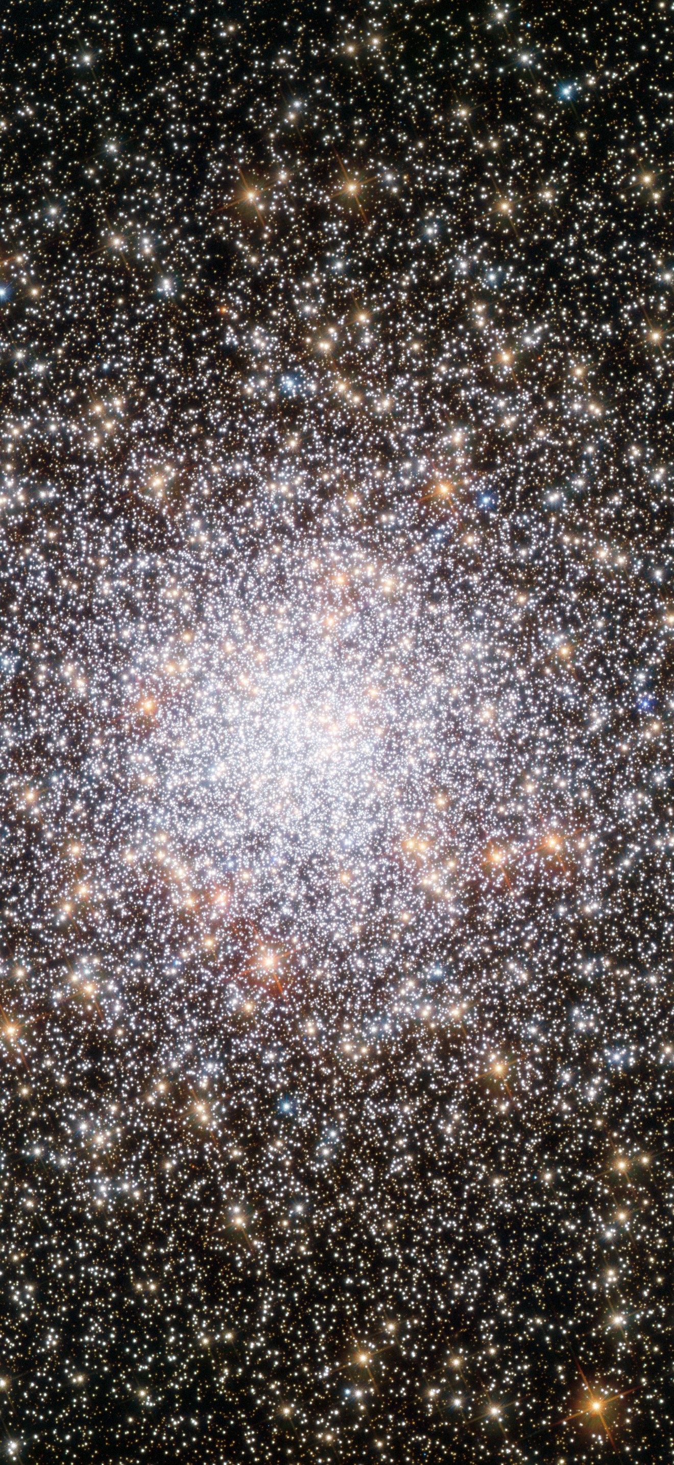Youthful NGC 362
