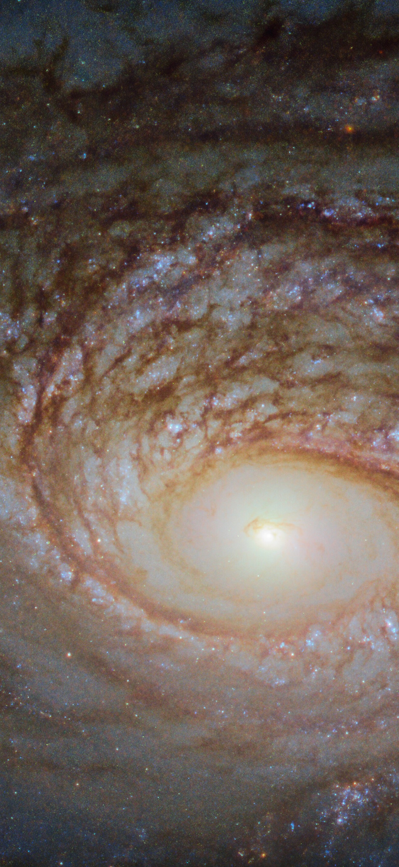A Rival to the Milky Way