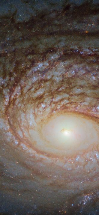 A Rival to the Milky Way