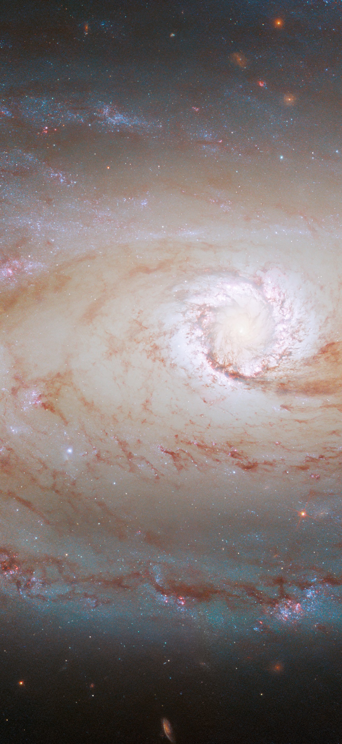 Eye of the Galaxy