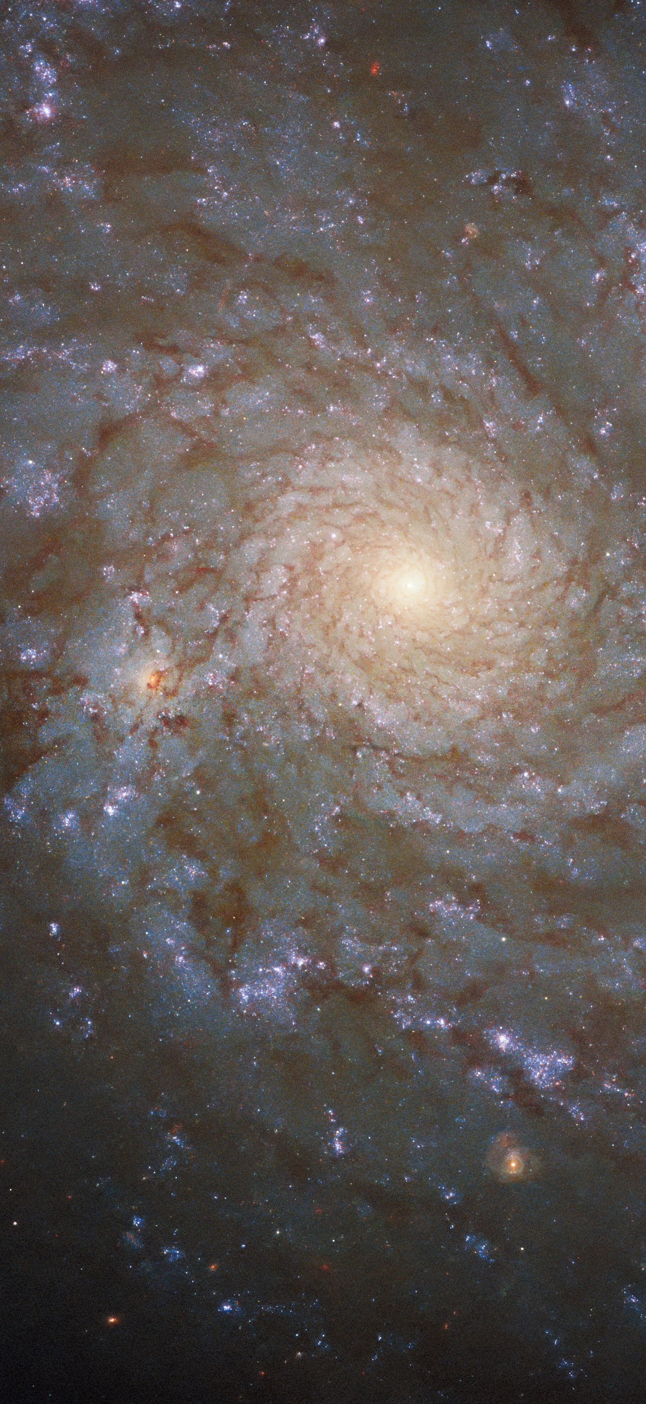 Hubble Spies a Stunning Spiral
