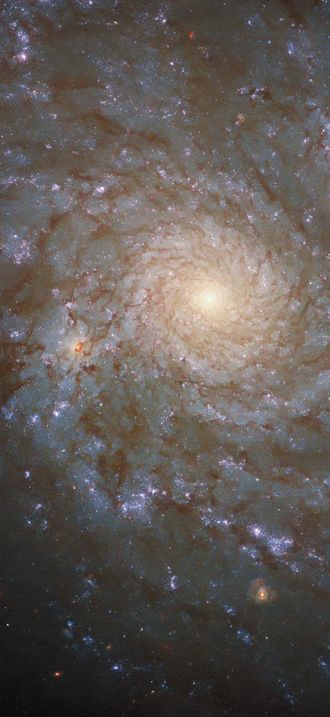 Hubble Spies a Stunning Spiral