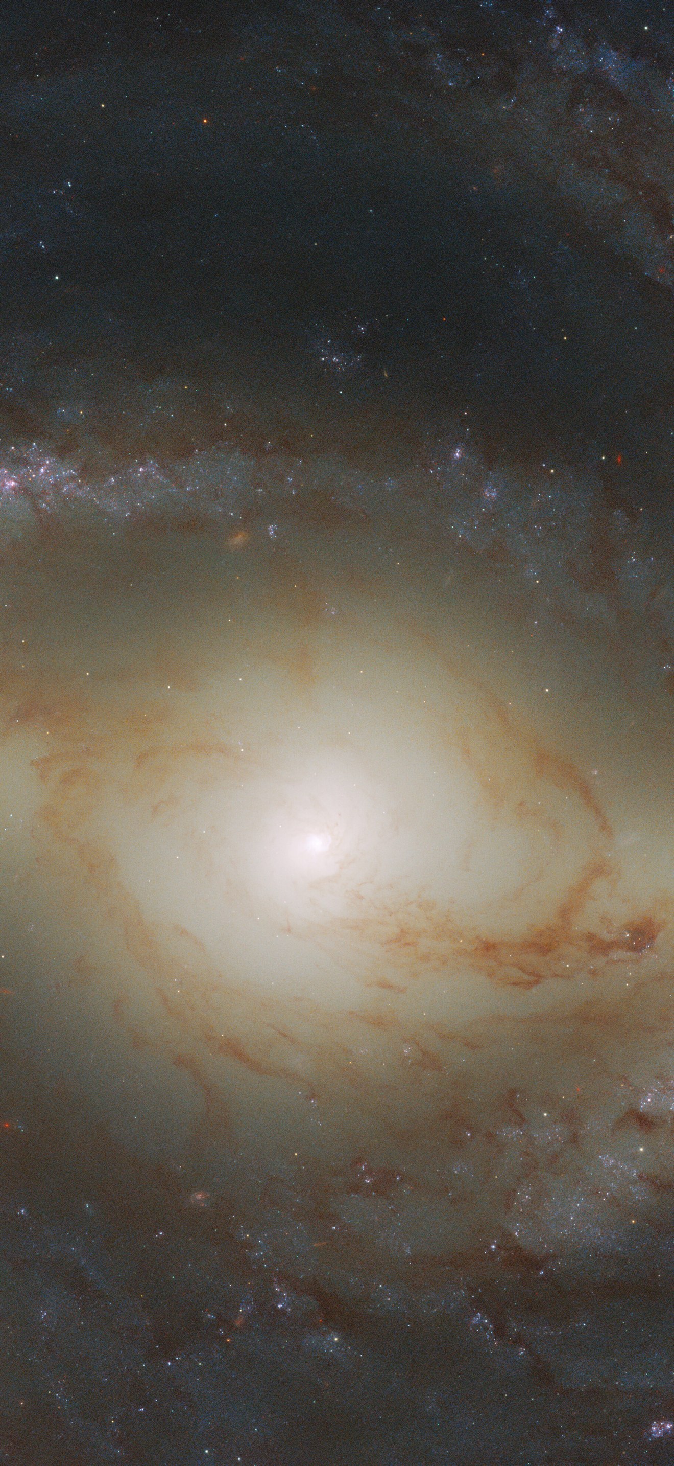 Spiral Snapshot