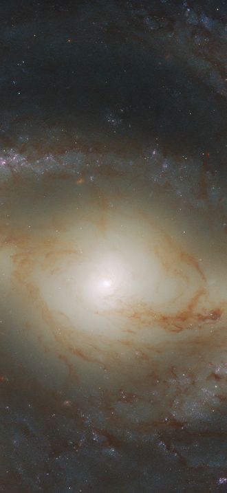 Spiral Snapshot
