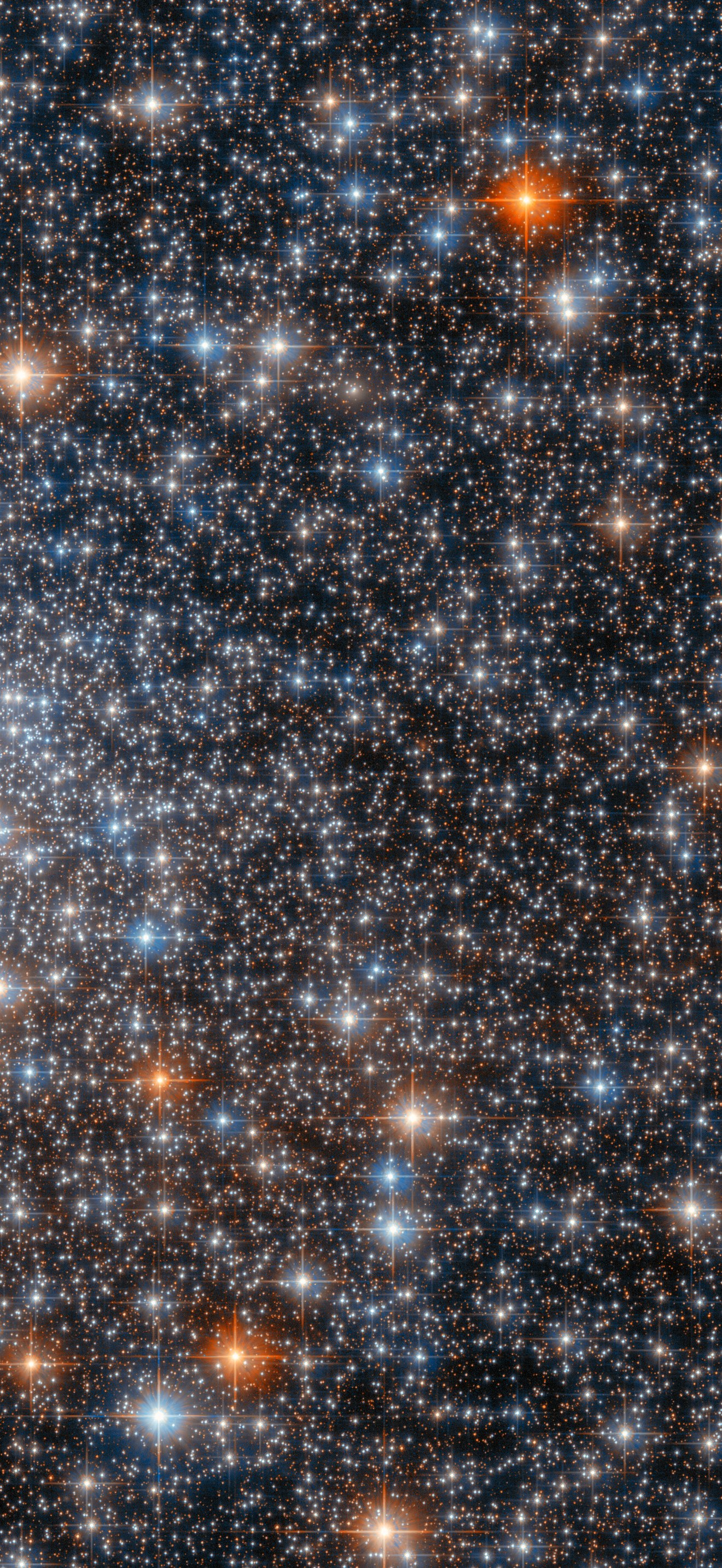 Hubble Spies a Glittering Gathering of Stars