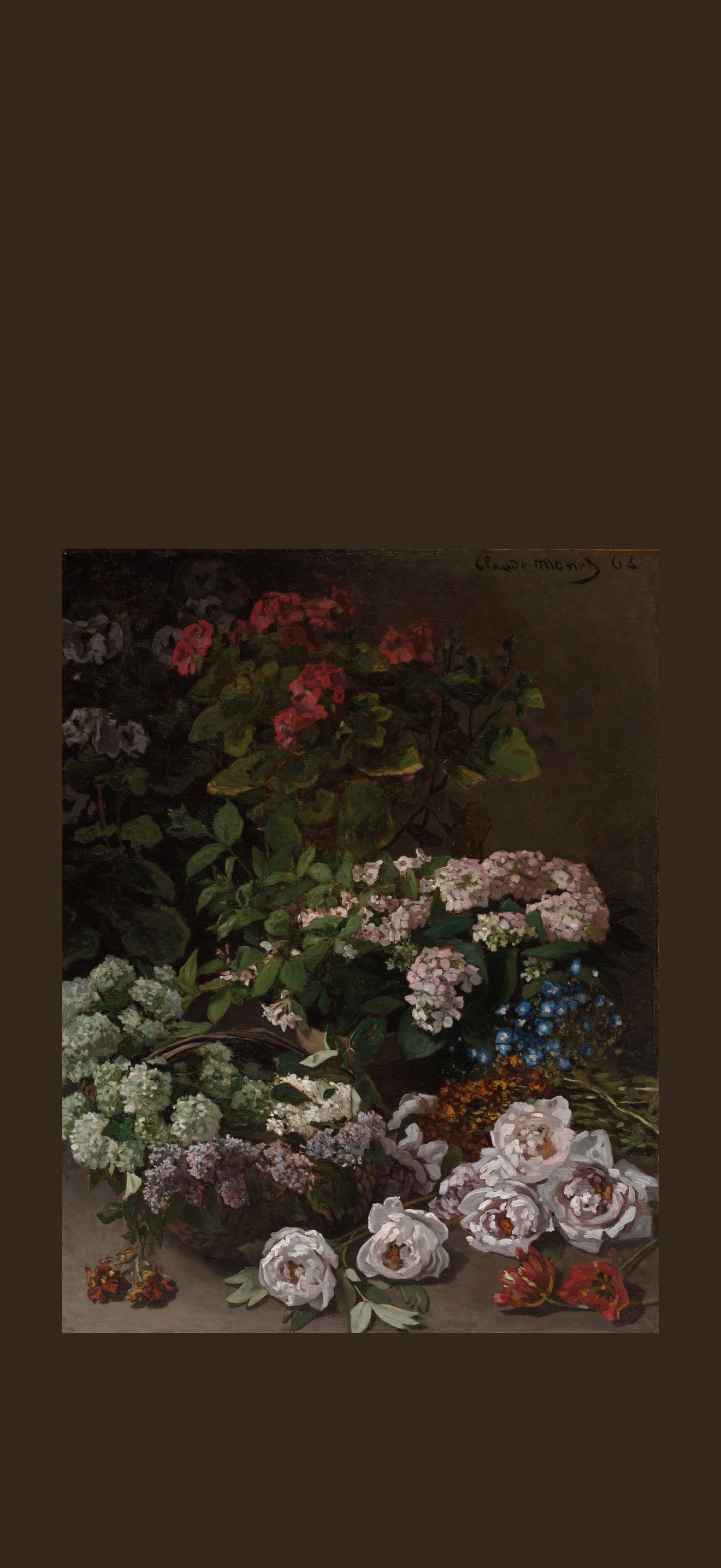 Spring Flowers