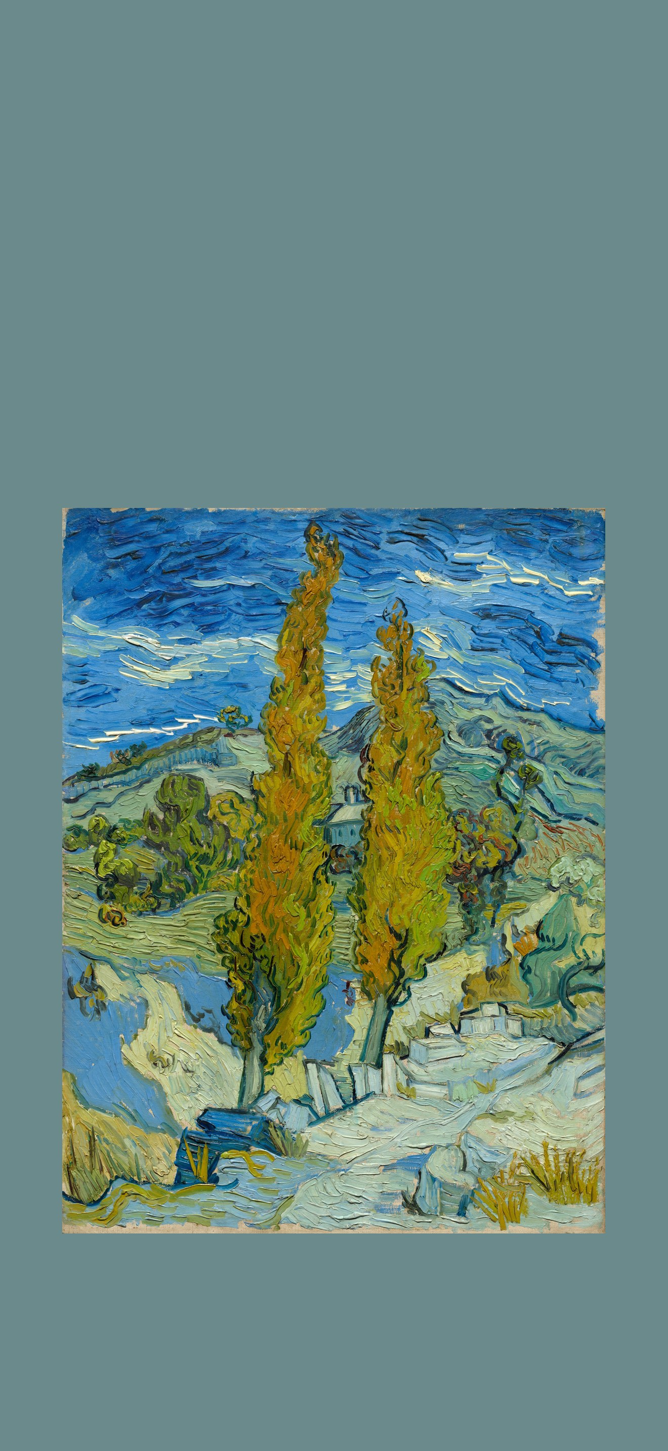 Two Poplars in the Alpilles near Saint-Rémy