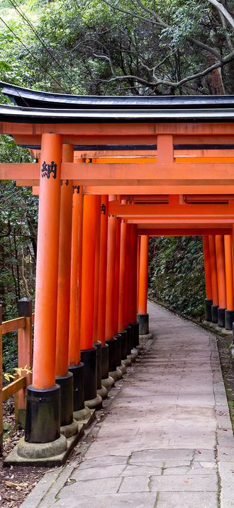 Fushimi Inari Torii