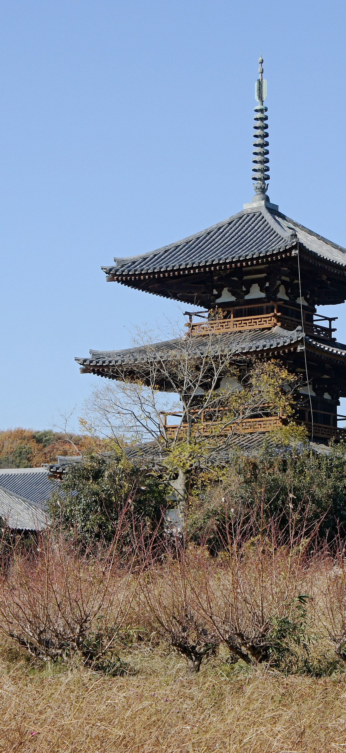 Hokiji07n4592