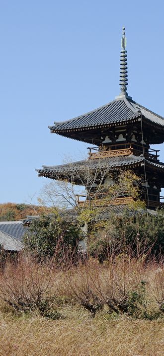 Hokiji07n4592