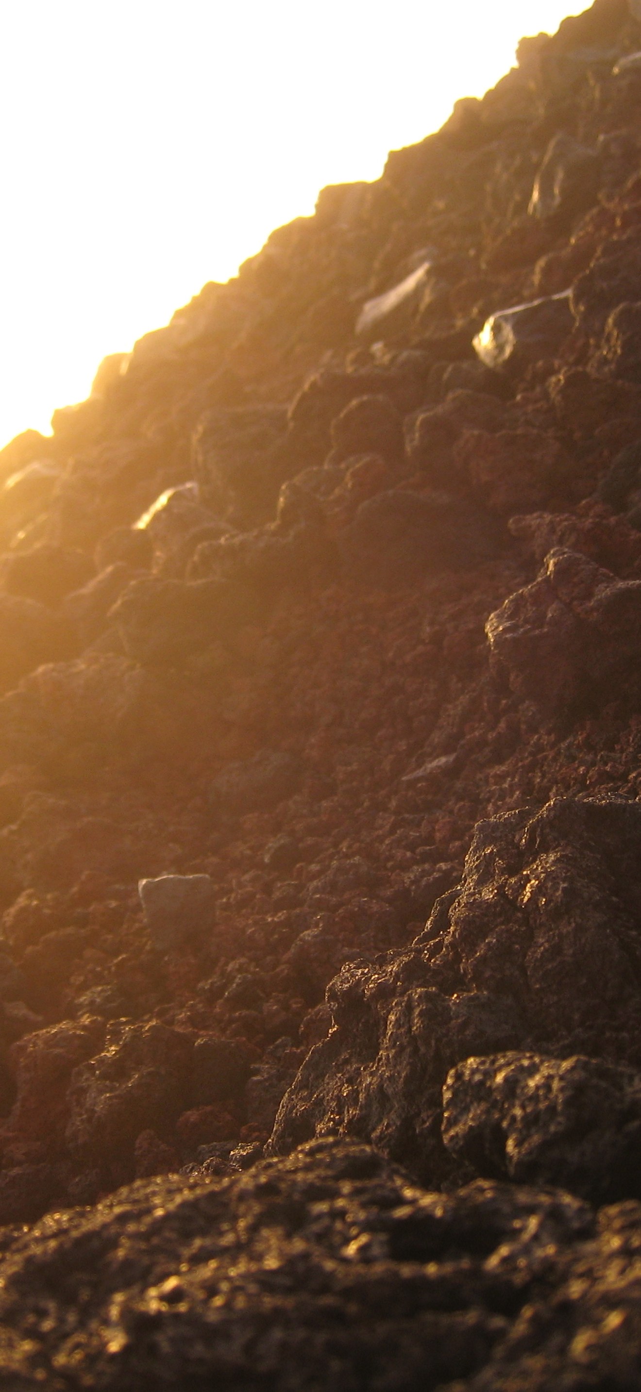 August 2009, sunrise seen from top of Mount Fuji -26844