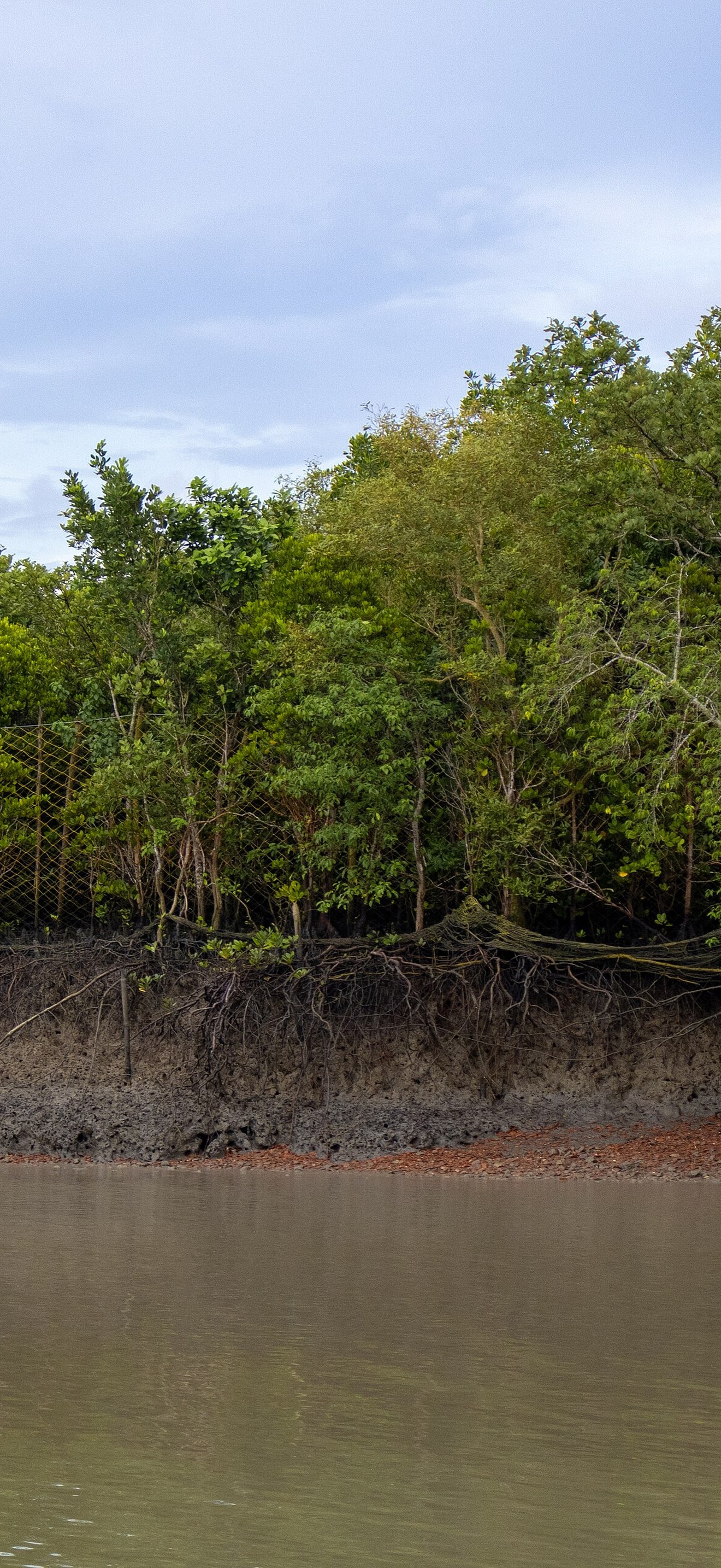 Nylon net fence along the edge of Sundarban, West Bengal, India