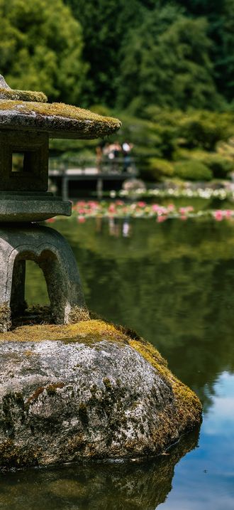 Seattle Japanese Garden pond and lantern, 21 June 2026