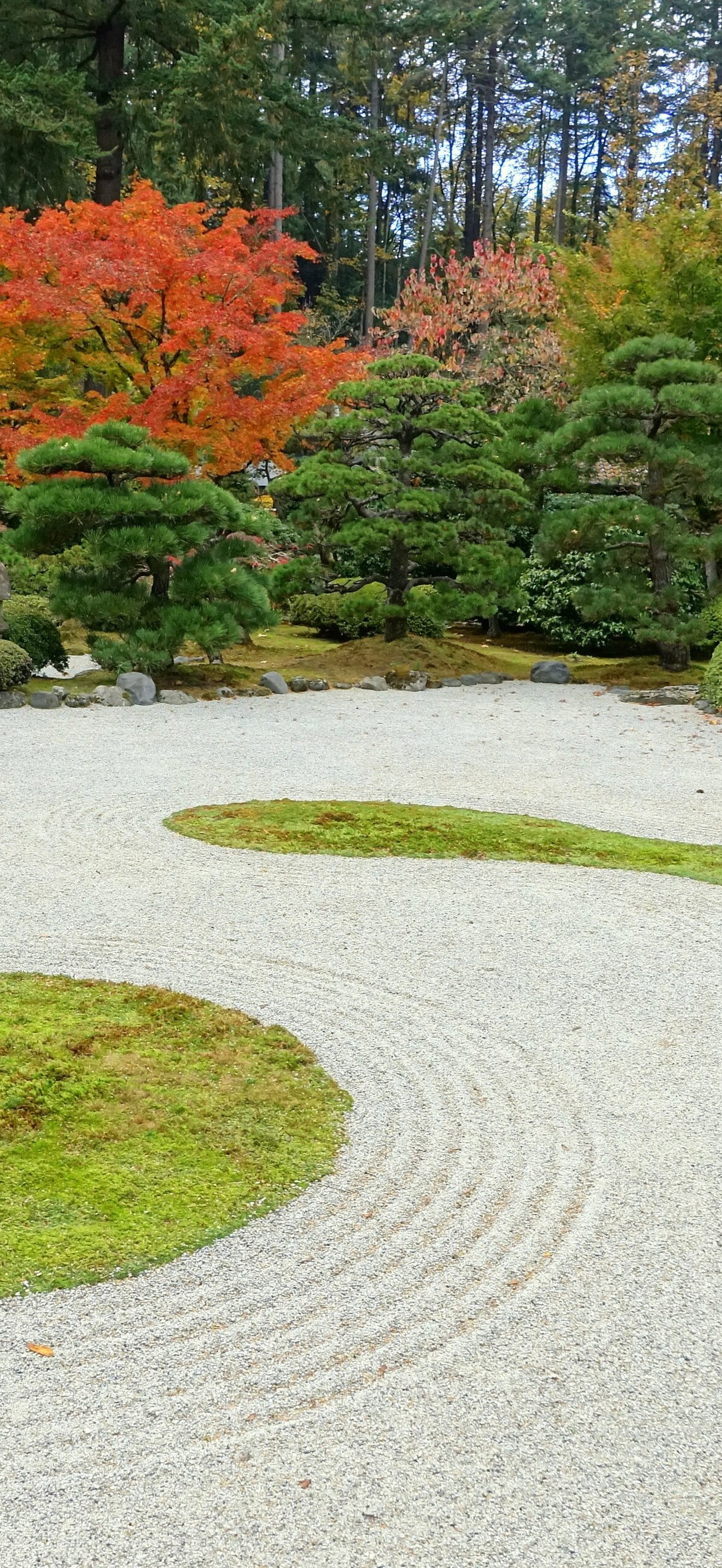 Flat Garden - Portland Japanese Garden - Portland, Oregon