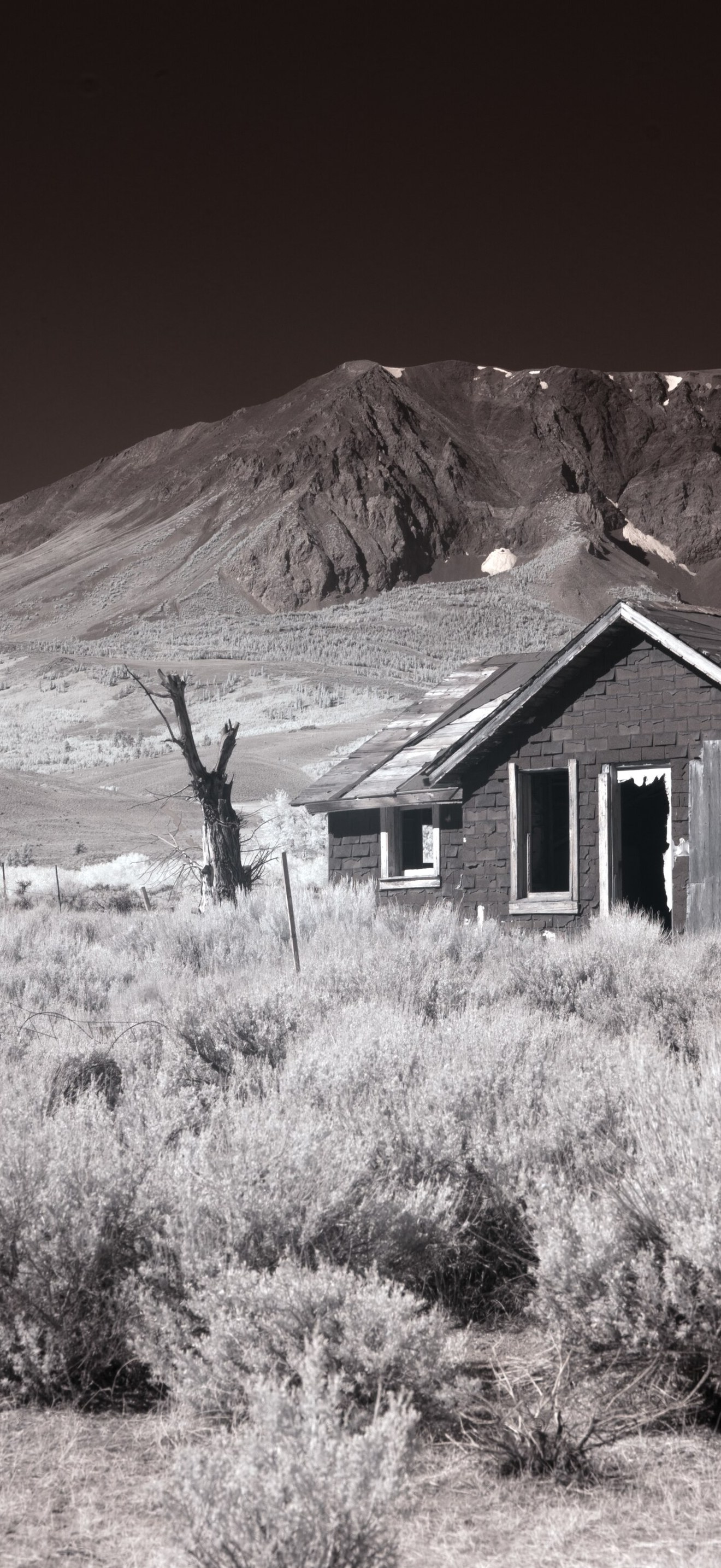 Shacks, on Route 395 with the Kuna Peak, Parker Peak and Mt. Dana mountains in the distanc