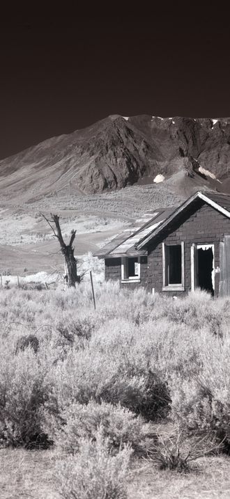 Shacks, on Route 395 with the Kuna Peak, Parker Peak and Mt. Dana mountains in the distanc