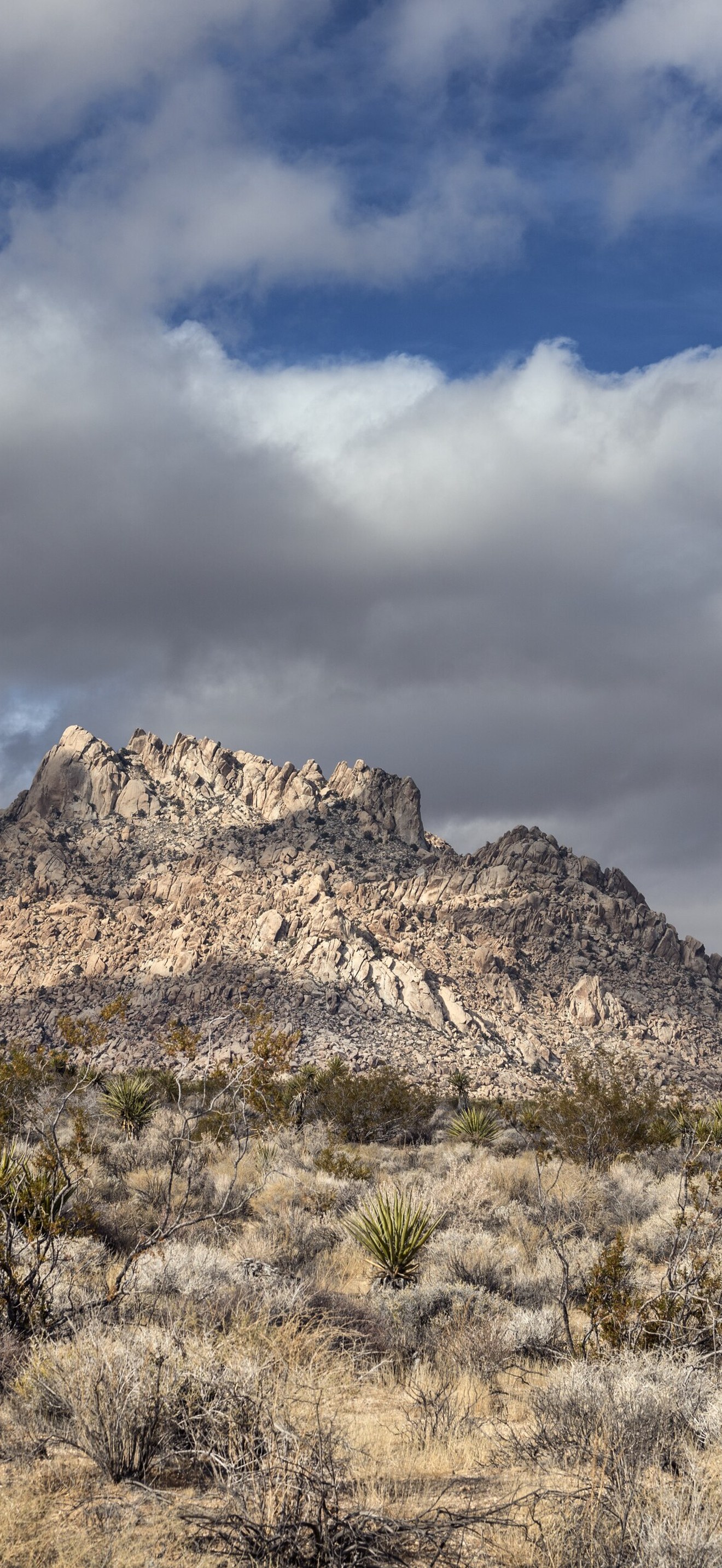 Views of the Providence Mountains from the desert floor in the Mojave National Preserve in