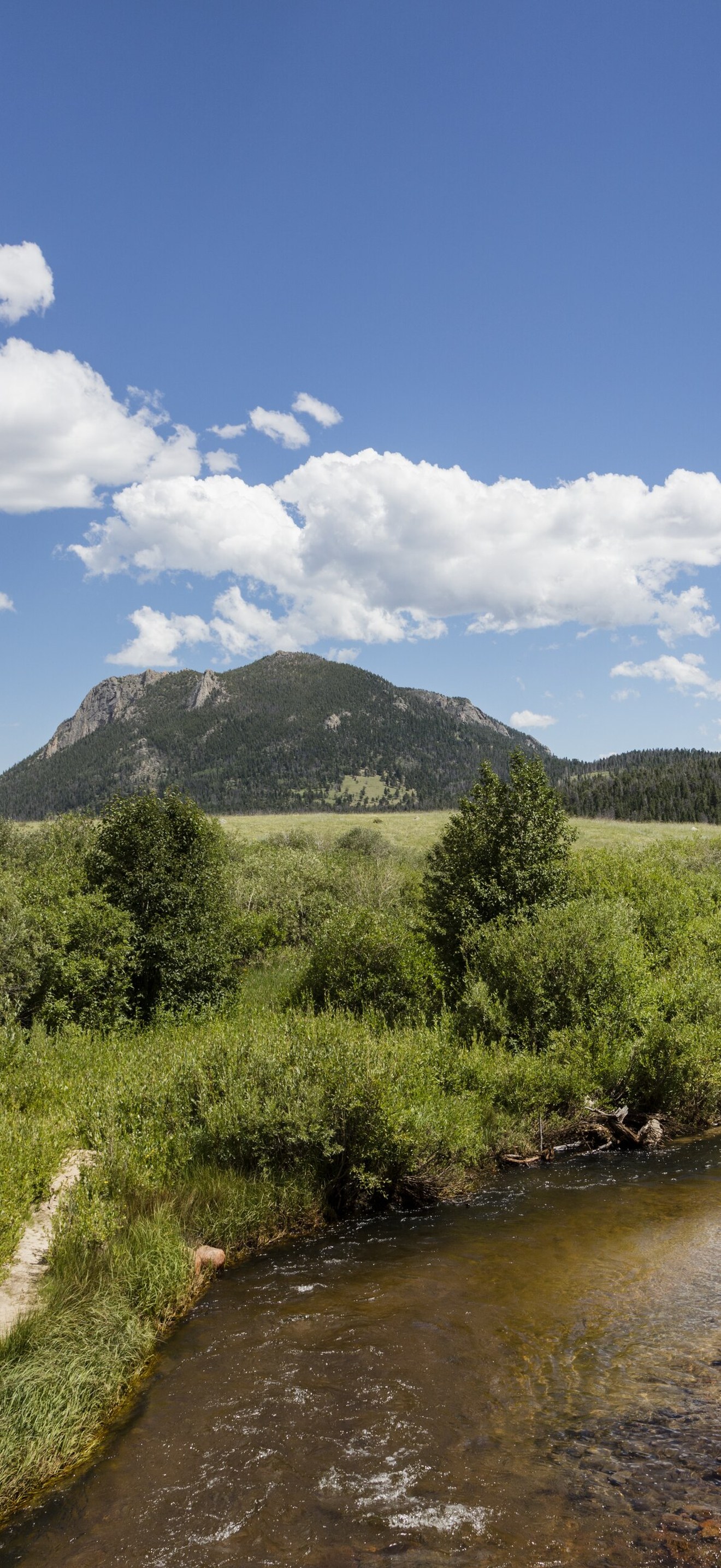 A lush meadow and meandering stream in Rocky Mountain National Park in the Front Range of