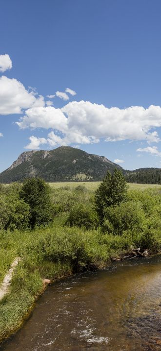 A lush meadow and meandering stream in Rocky Mountain National Park in the Front Range of