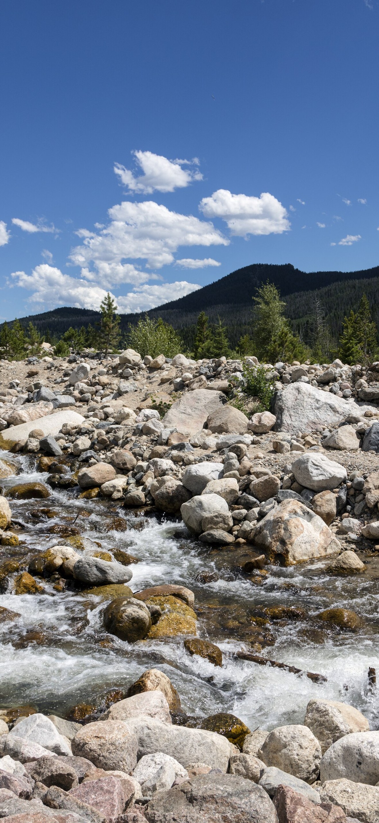 A raging stream in Rocky Mountain National Park in the Front Range of the spectacular and