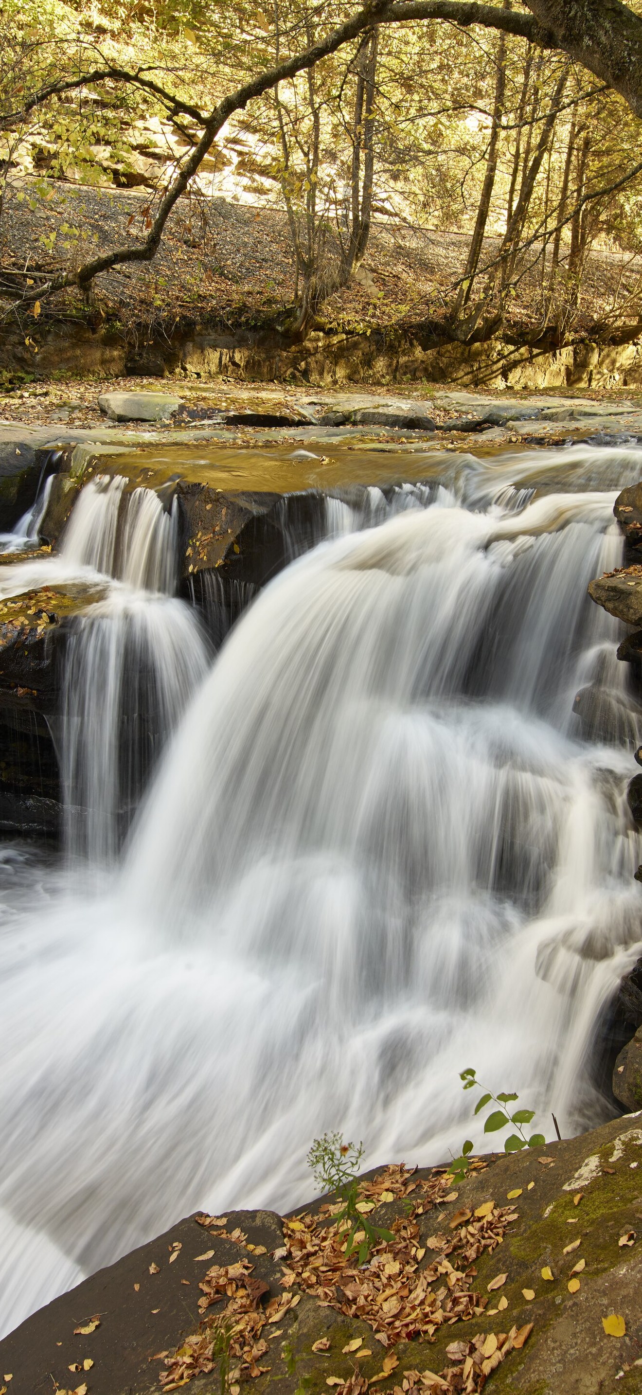 Dunloup Falls, a roadside waterfall with a drop of 20 feet on the creek of the same name,