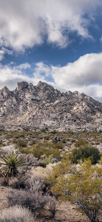 A view of Granite Peak in the Providence Mountains from the desert floor in the Mojave Nat