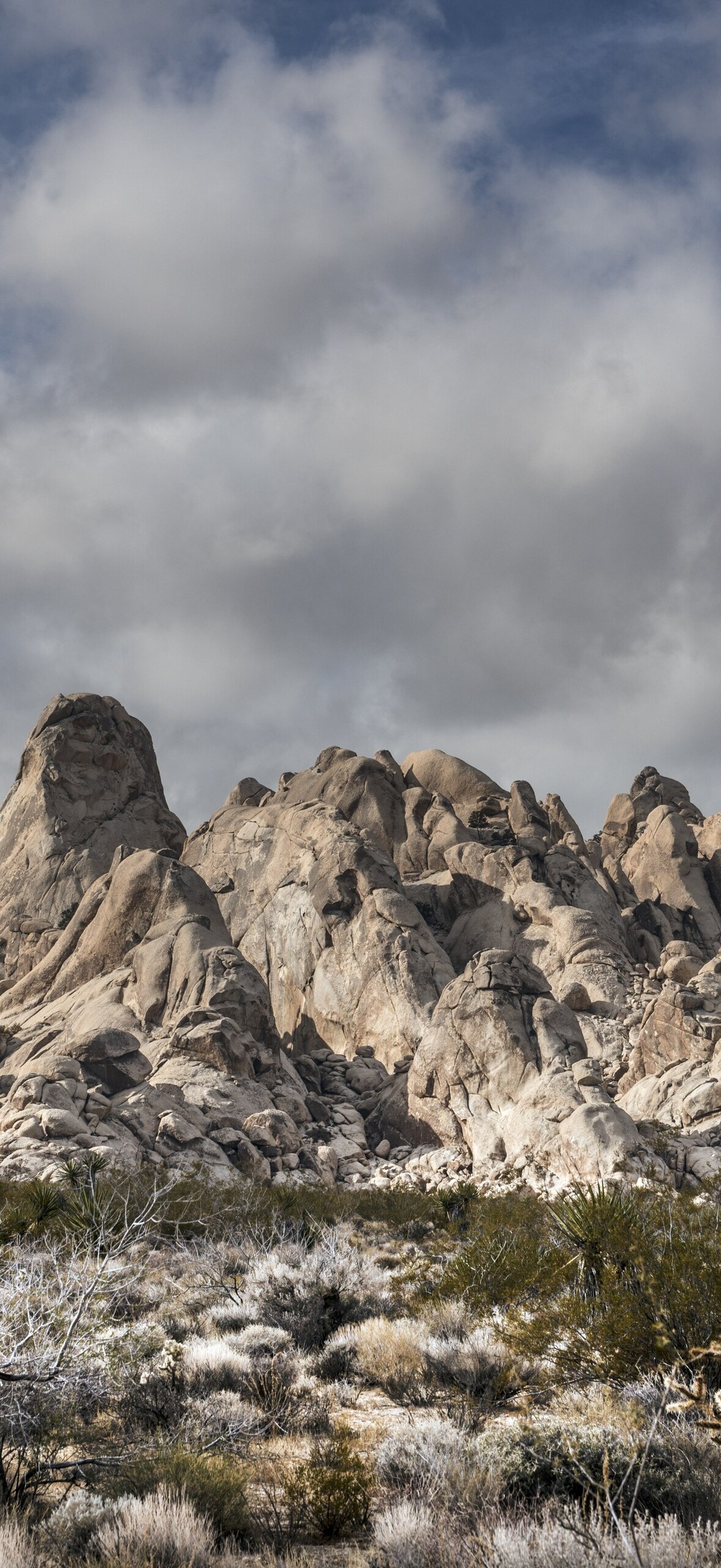Views of the Providence Mountains from the desert floor in the Mojave National Preserve in