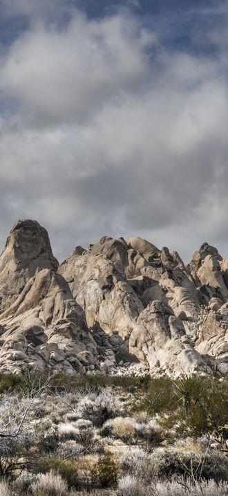 Views of the Providence Mountains from the desert floor in the Mojave National Preserve in