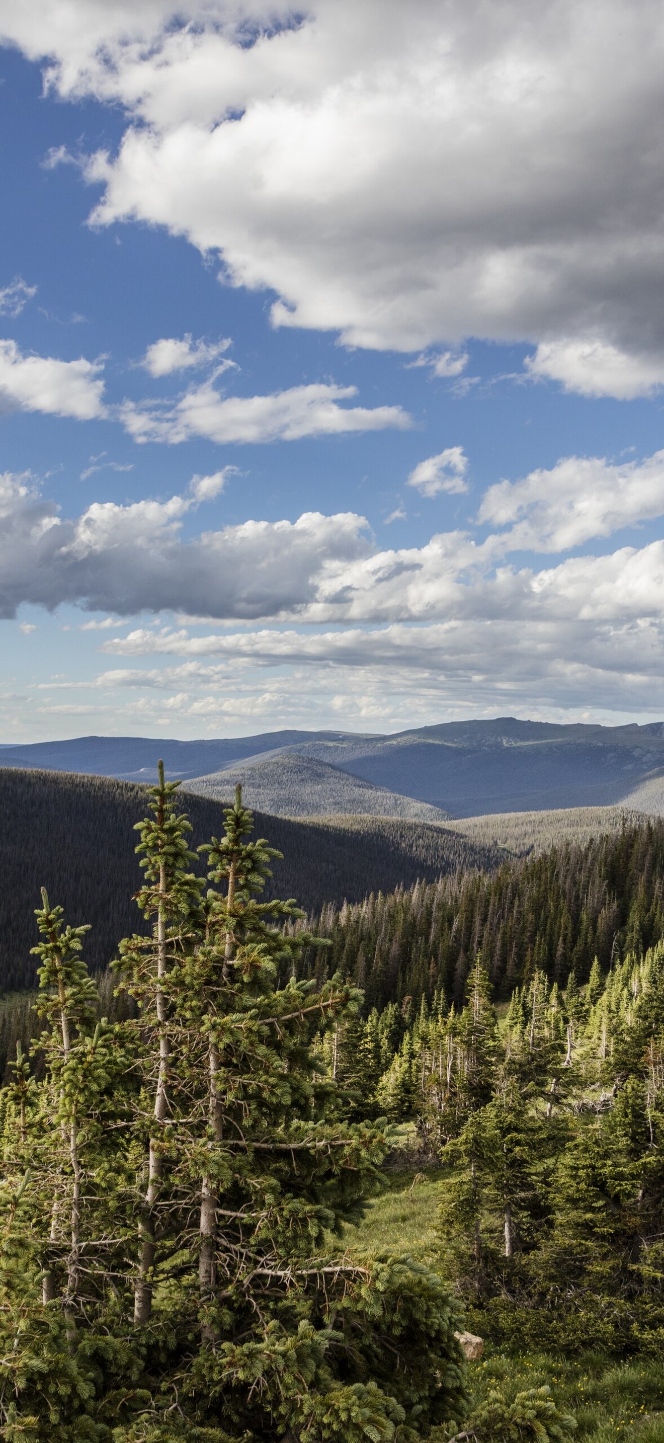 High-country views in Rocky Mountain National Park in the Front Range of the spectacular a