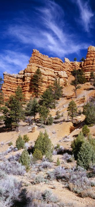 Utah's Red Canyon