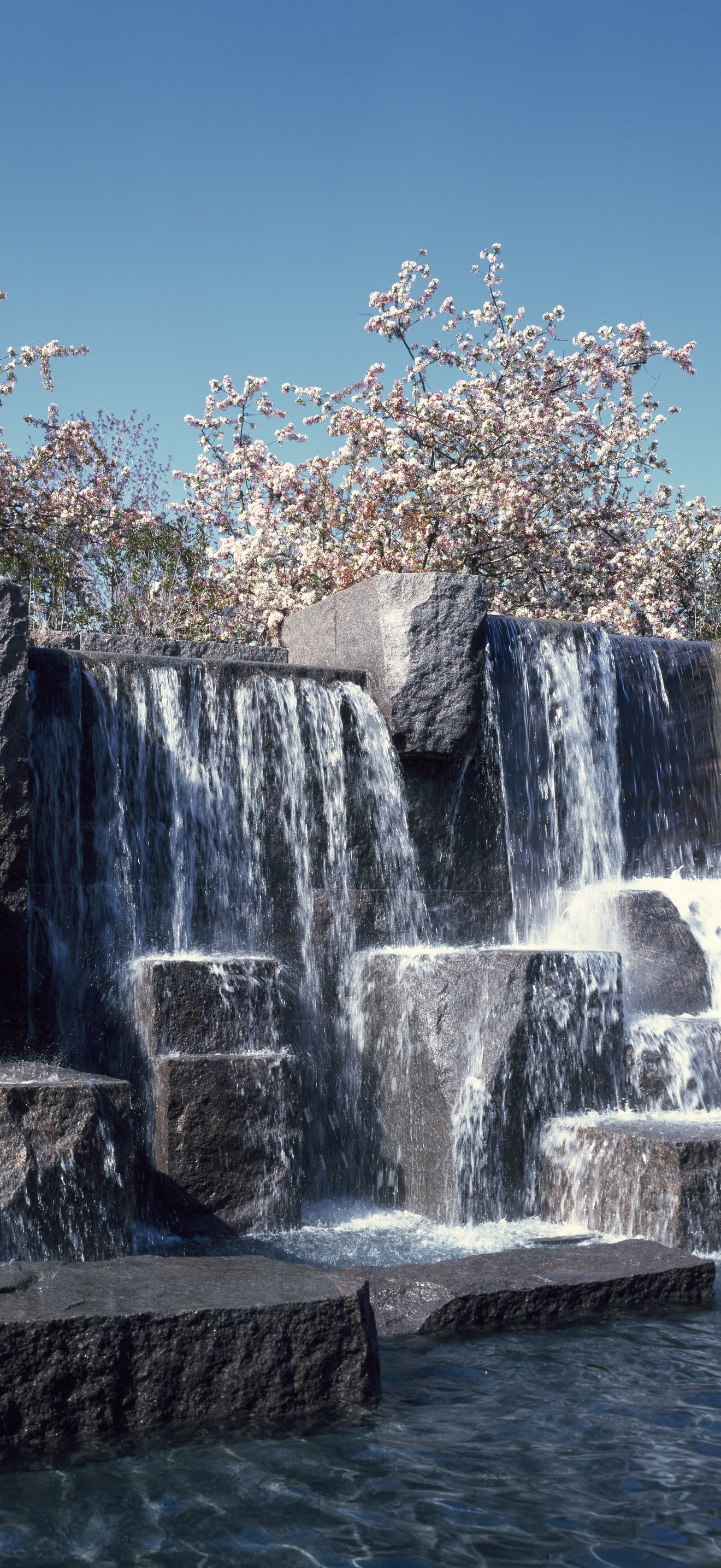 Waterfall and cherry trees at the Franklin Delano Roosevelt Memorial, Washington, D.C