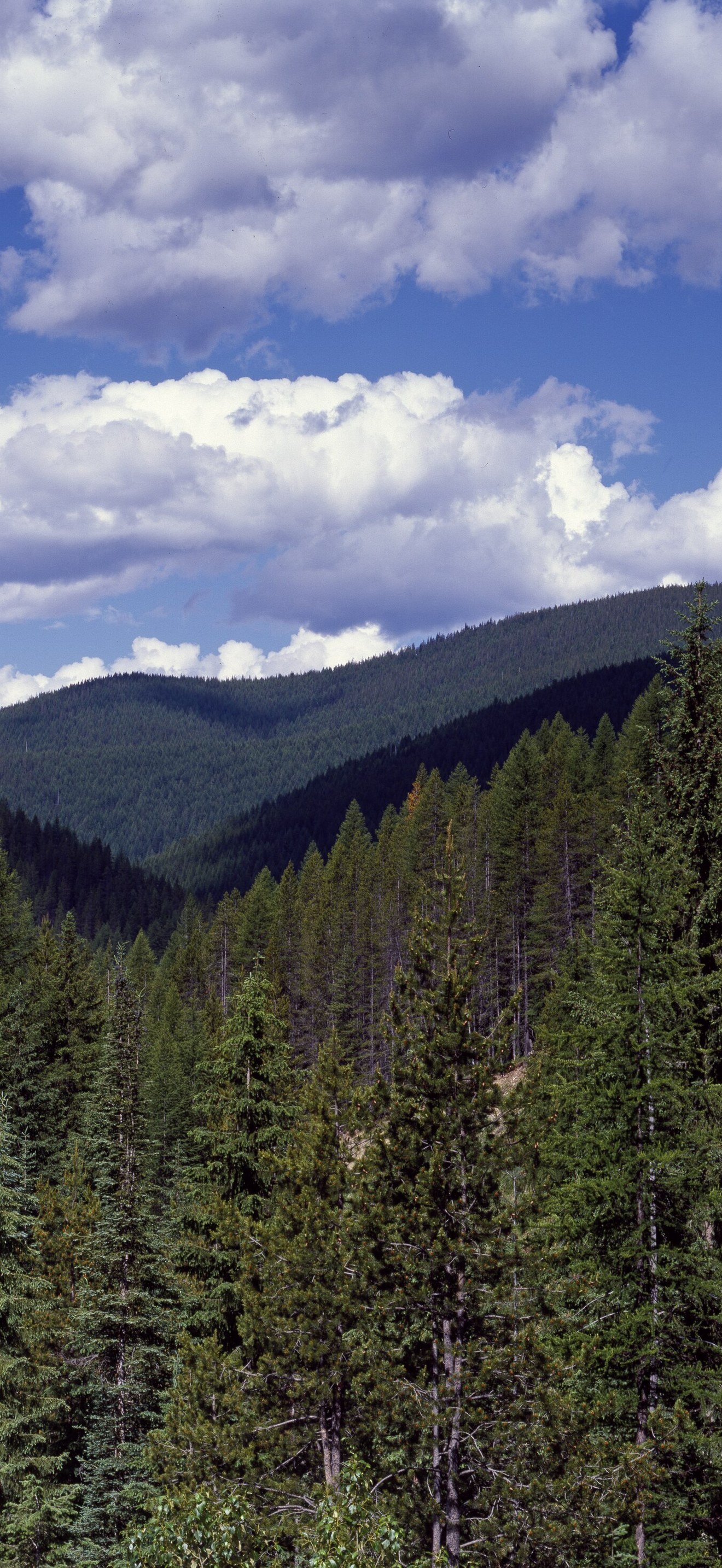 High in the Cascade Mountains, Washington