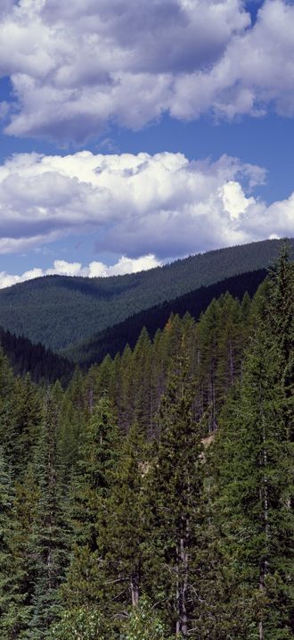 High in the Cascade Mountains, Washington