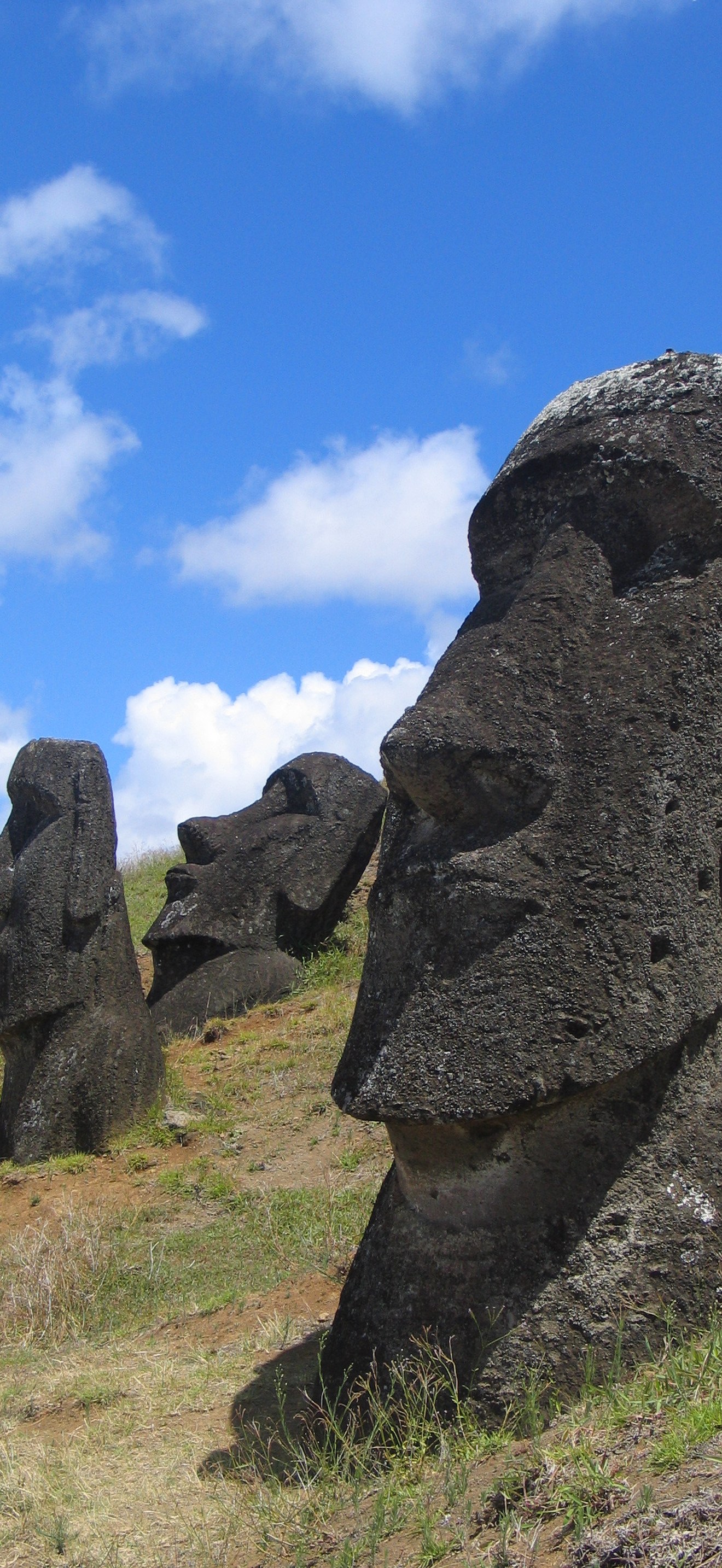 Moai Rano raraku