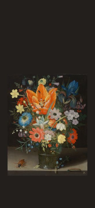 Stillleben mit Schwertlilie (1623)