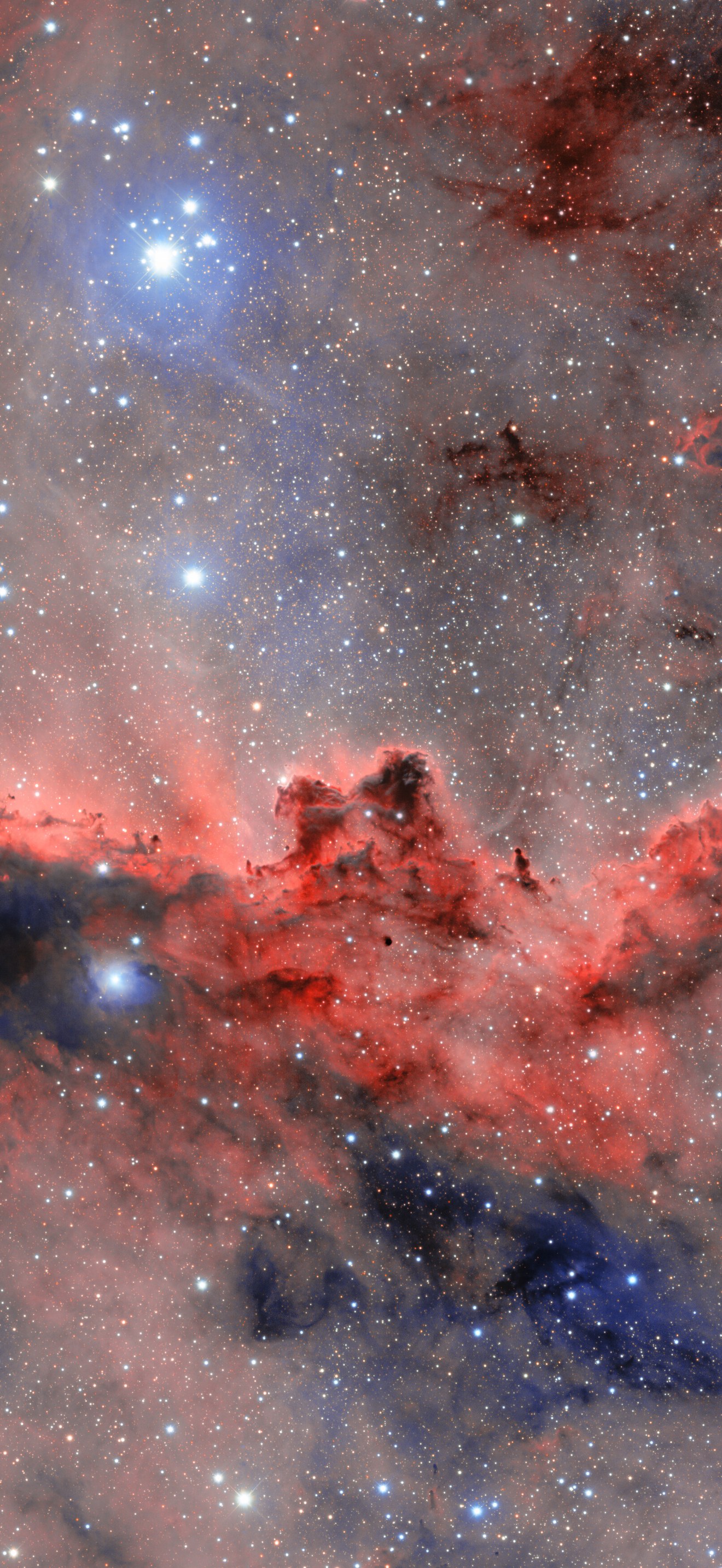 Dueling Dust Dragons (in Space!)