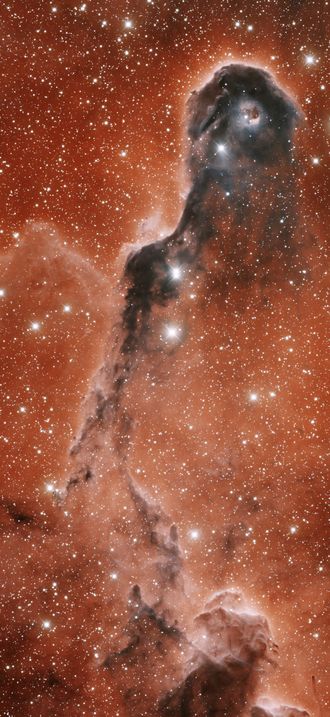 IC 1396A Elephant Trunk Nebula