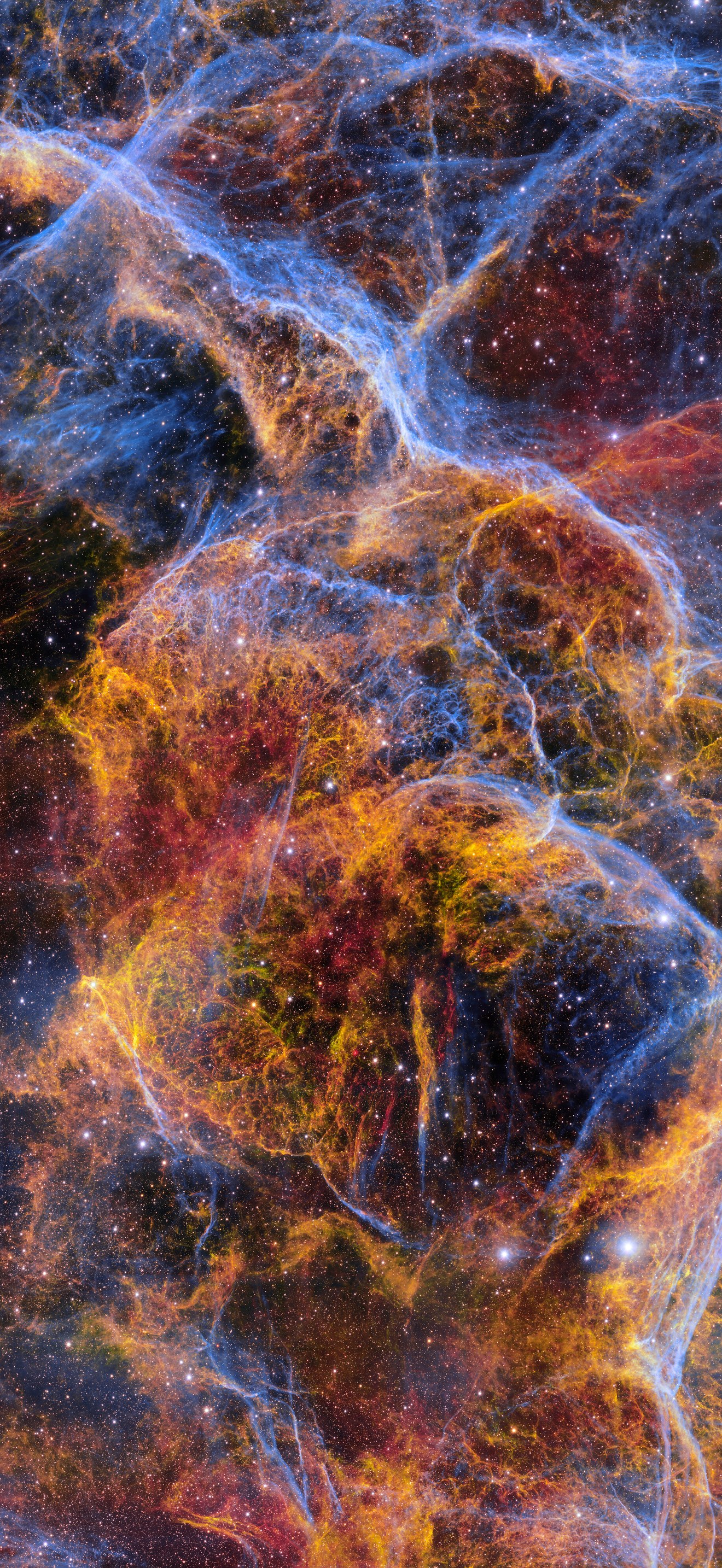 Ghostly Stellar Tendrils of the Vela Supernova Remnant