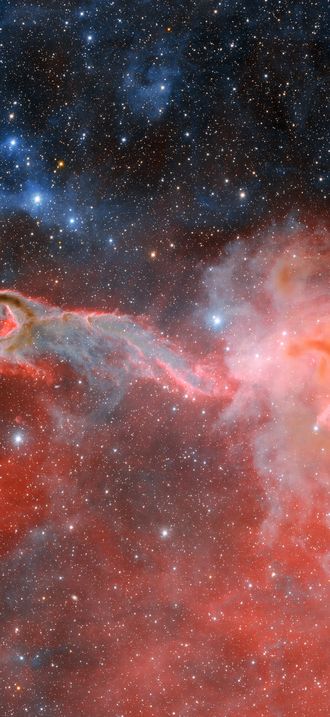 Dark Energy Camera Images Cometary Globule CG 4
