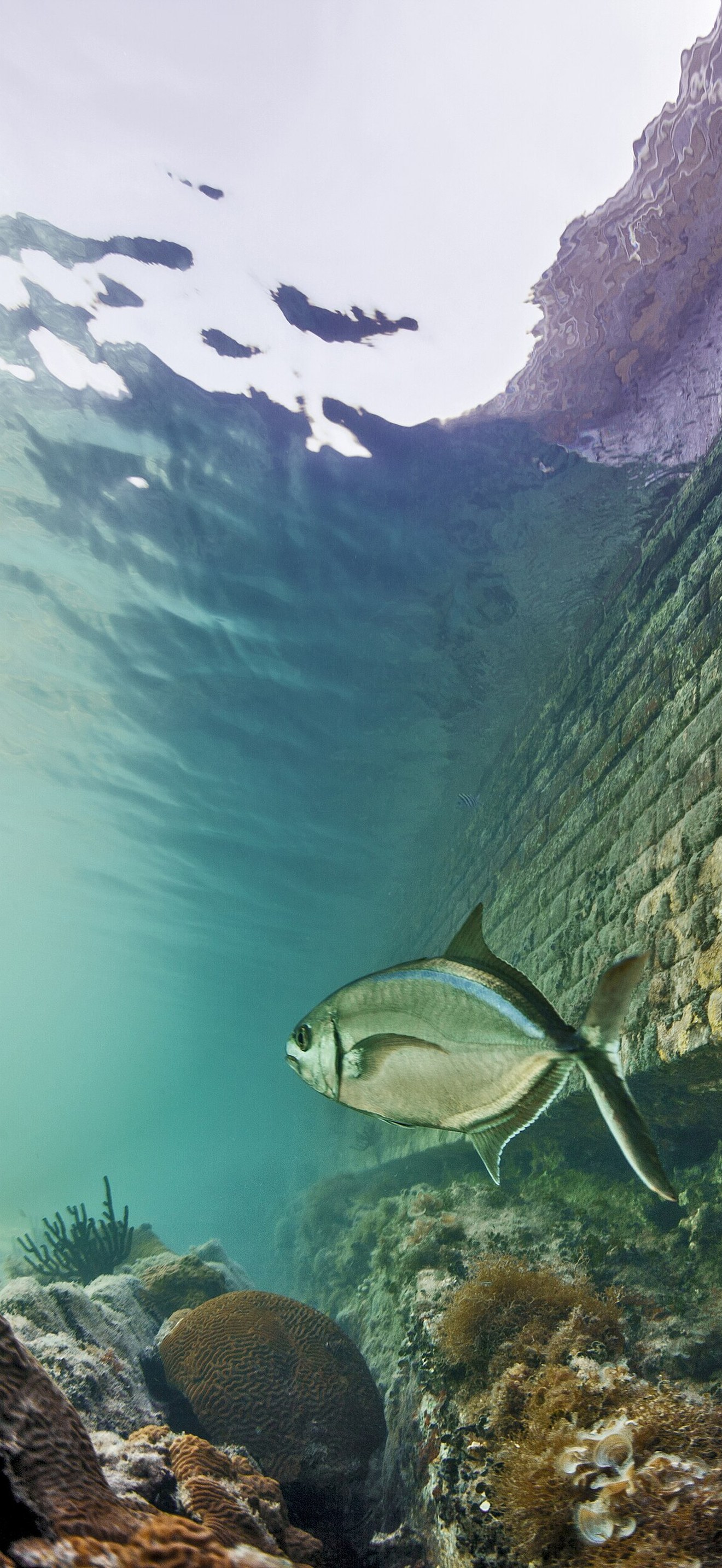 FKNMS - Dry Tortugas